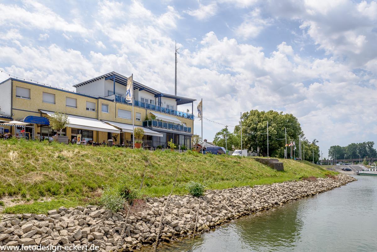 Hotel Rheingold Gernsheim Exterior photo